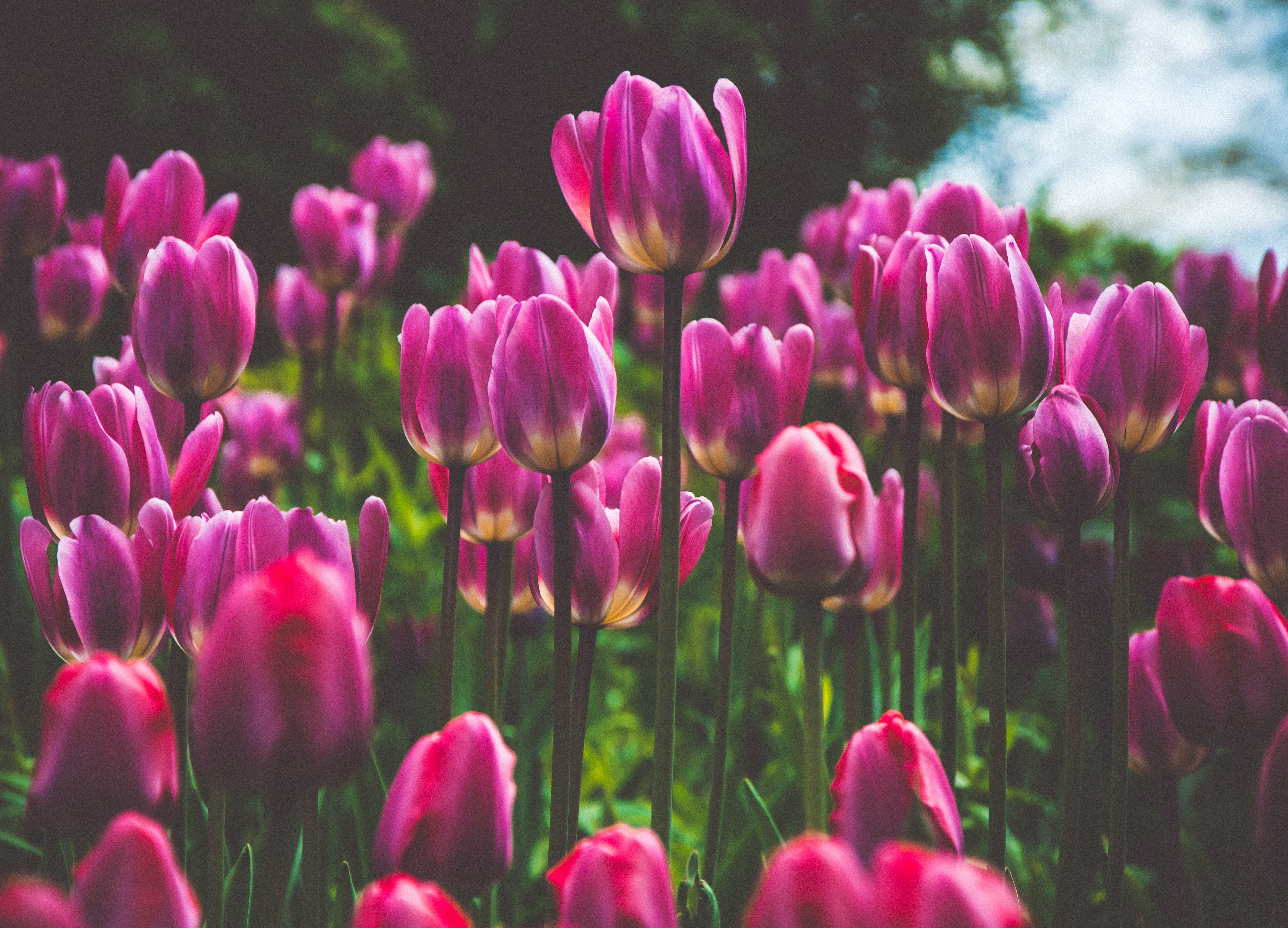 アパレル業界について